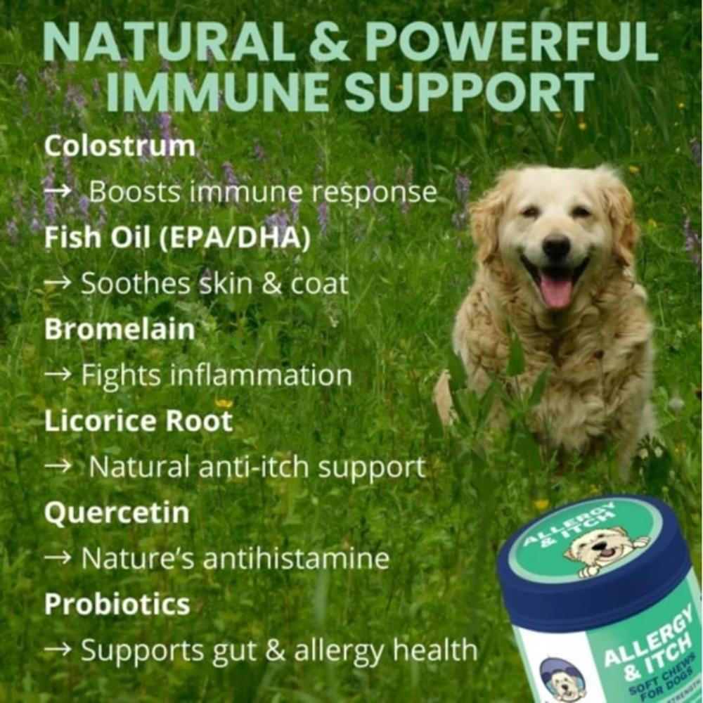 UNDER-THE-WEATHER-ALLERGY-ITCH-SC-DOGS-60CT