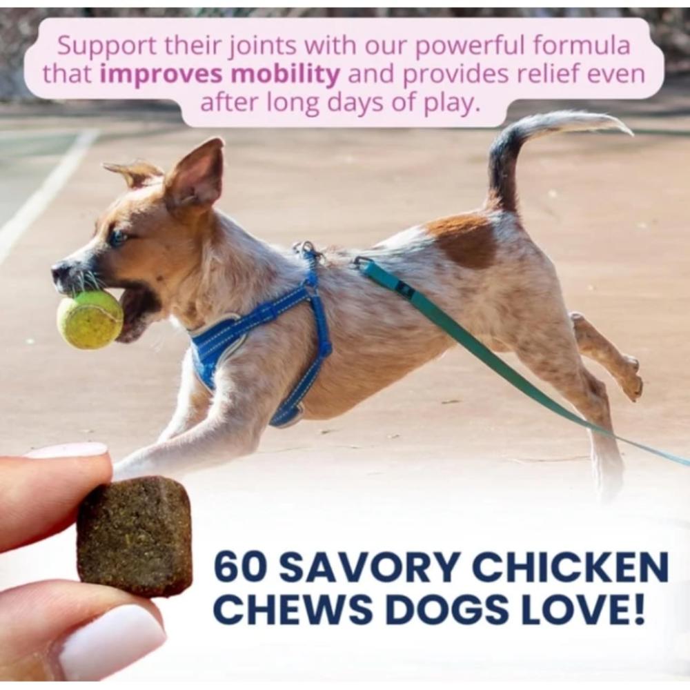 UNDER-THE-WEATHER-HIP-JOINT-SC-60CT-DOG
