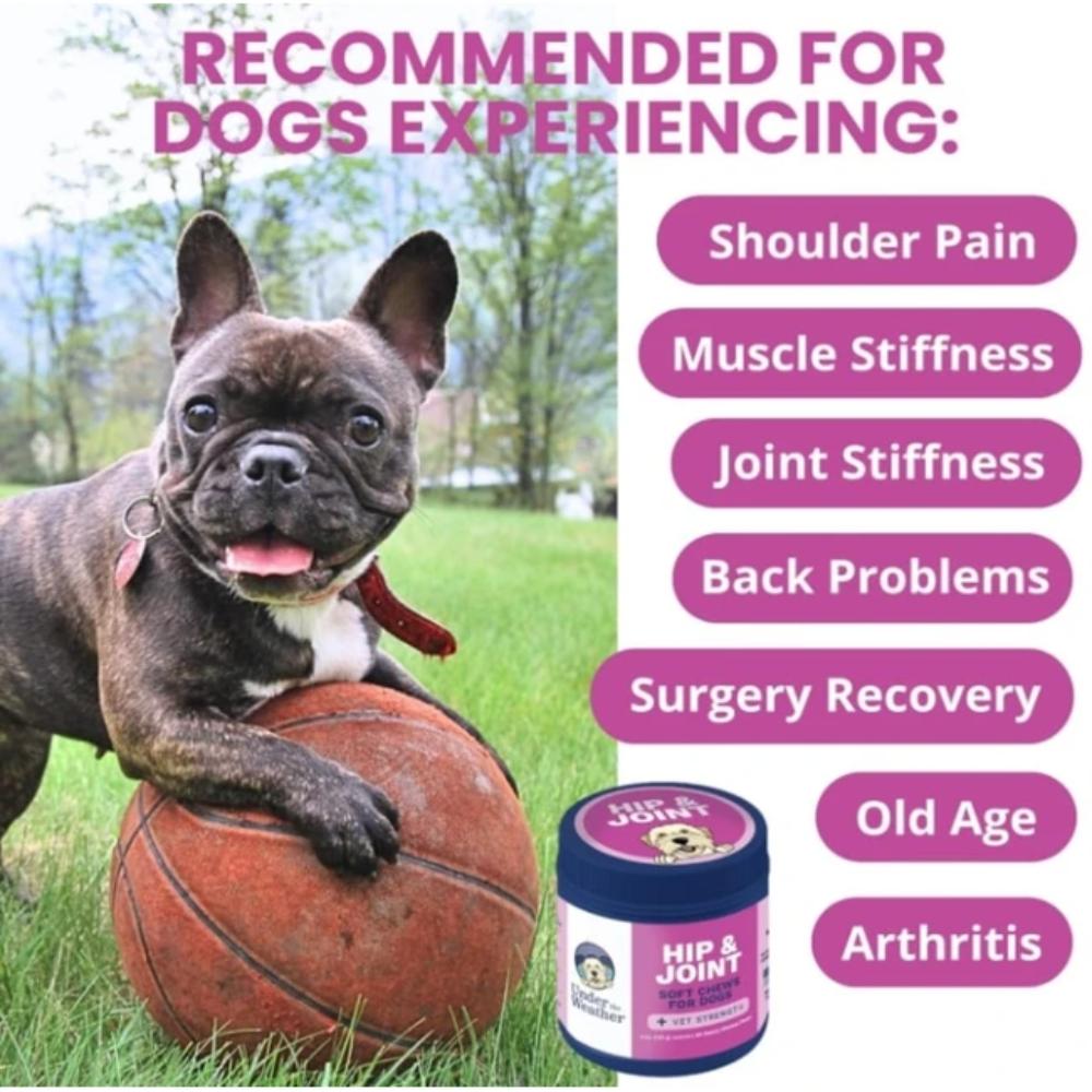 UNDER-THE-WEATHER-HIP-JOINT-SC-60CT-DOG