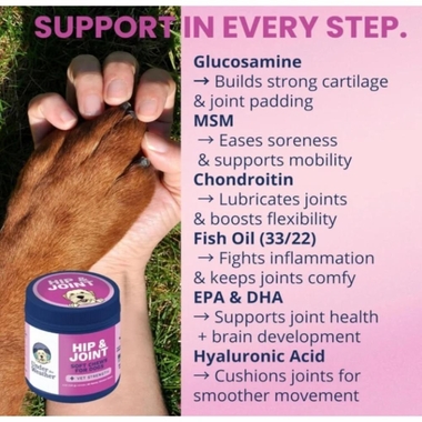 UNDER-THE-WEATHER-HIP-JOINT-SC-60CT-DOG