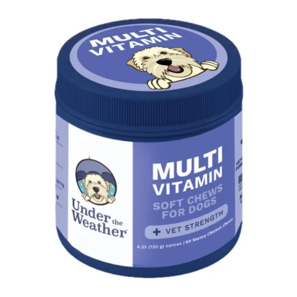 UNDER-THE-WEATHER-MULTI-VITAMIN-SC-60CT-DOG