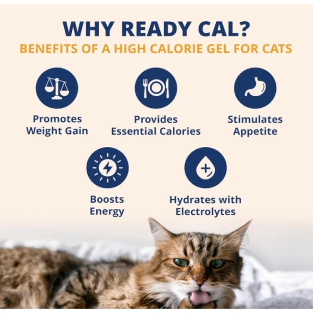 UNDER-THE-WEATHER-READY-CAL-PLUS-ELCTRLYTS-CAT-2-5OZ