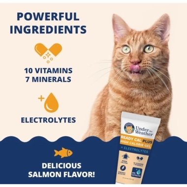 UNDER-THE-WEATHER-READY-CAL-PLUS-ELCTRLYTS-CAT-2-5OZ