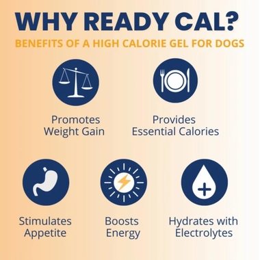 UNDER-THE-WEATHER-READY-CAL-PLUS-ELCTRLYTS-DOG-3-5OZ