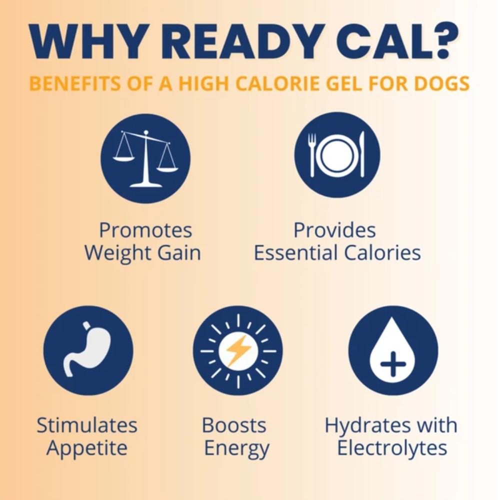 UNDER-THE-WEATHER-READY-CAL-PLUS-ELCTRLYTS-DOG-3-5OZ