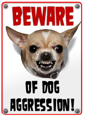 Understanding Dog Aggression