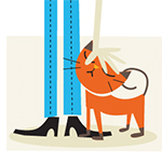 Understanding Your Cat's Behaviors