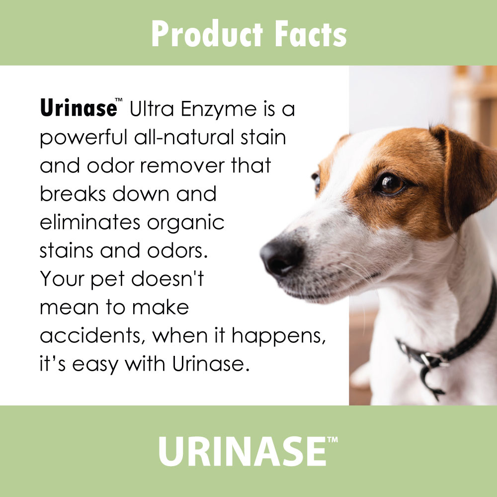 URINASE-STAIN-ODOR-REMOVER-ULTRA-ENZYME-1-GALLON
