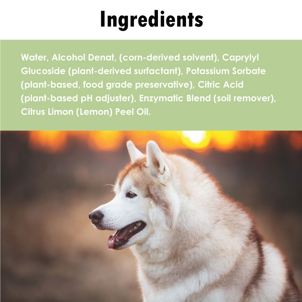 URINASE-STAIN-ODOR-REMOVER-ULTRA-ENZYME-1-GALLON