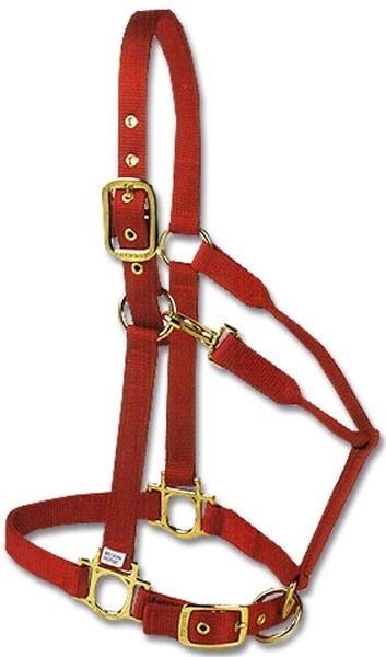 Valhoma Horse Halters & Leads