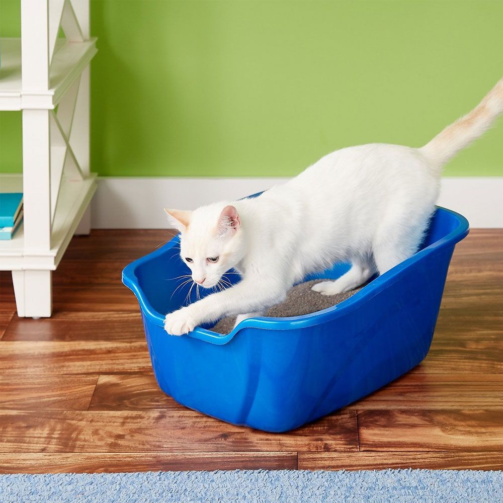 Van Ness High Sides Cat Litter Pan Giant, Blue 20.5" x 17" On Sale EntirelyPets