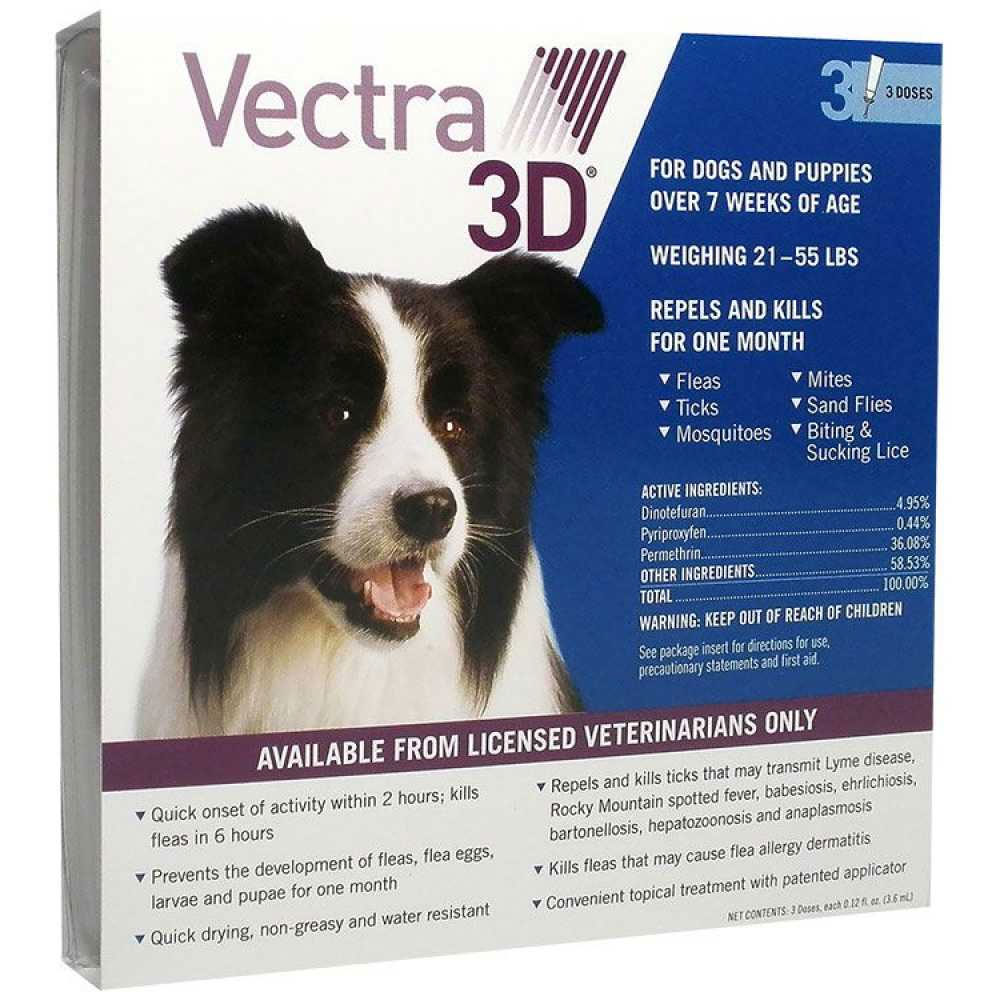 Vectra 3D for Dogs