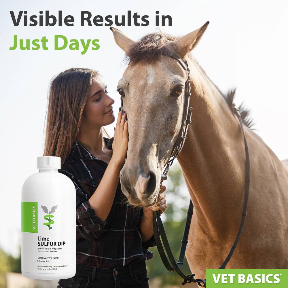 VET-BASICS-LIME-SULFUR-DIP-16-FL-OZ