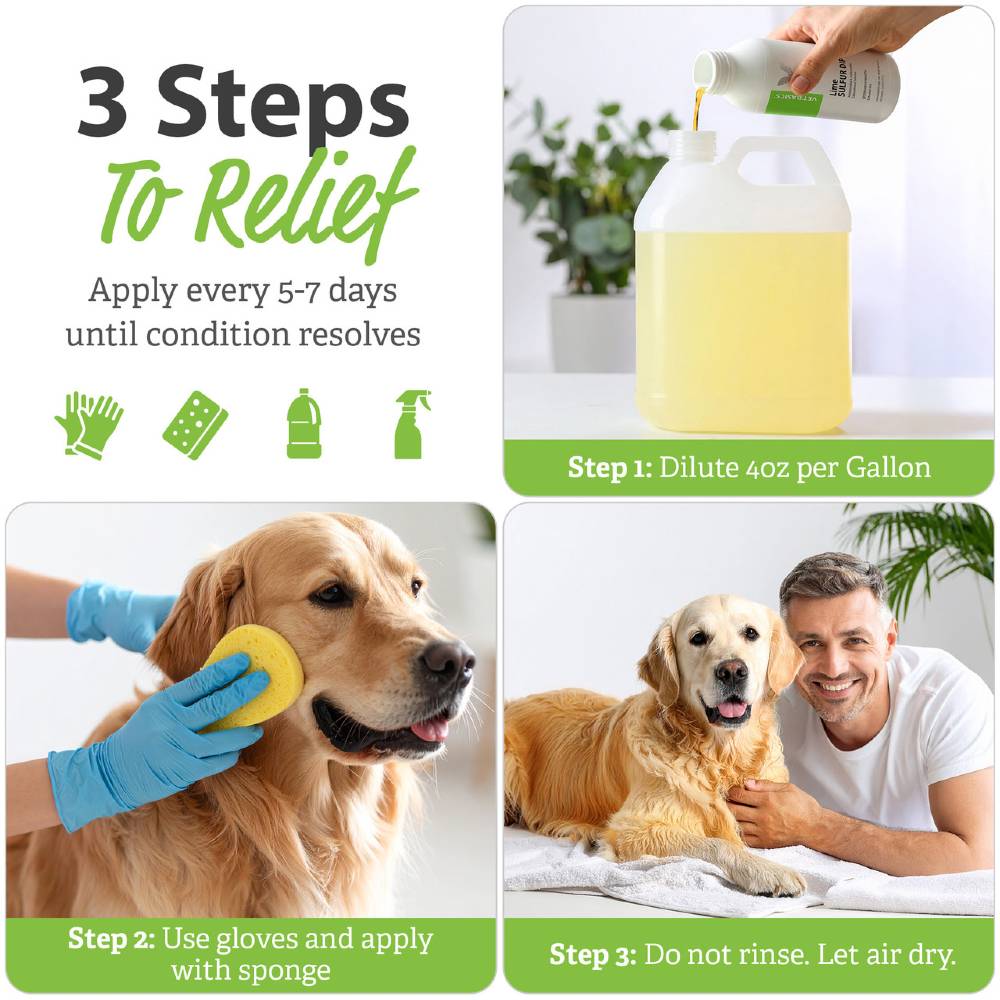 VET-BASICS-LIME-SULFUR-DIP-16-FL-OZ