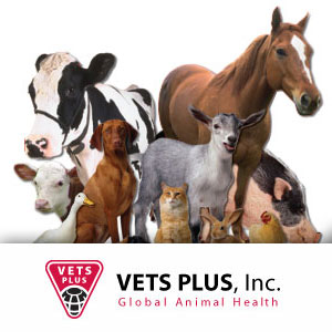 Vet's Plus