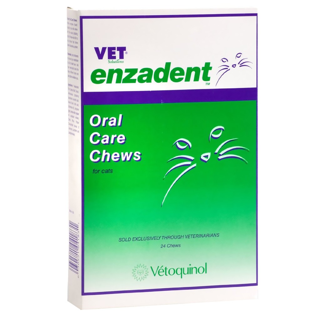 Vet Solutions Enzadent