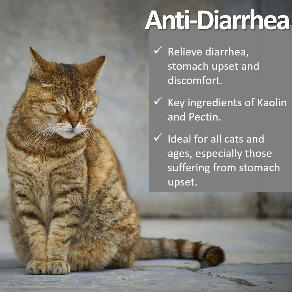 VET-WORTHY-ANTIDIARRHEA-FOR-CATS-4OZ
