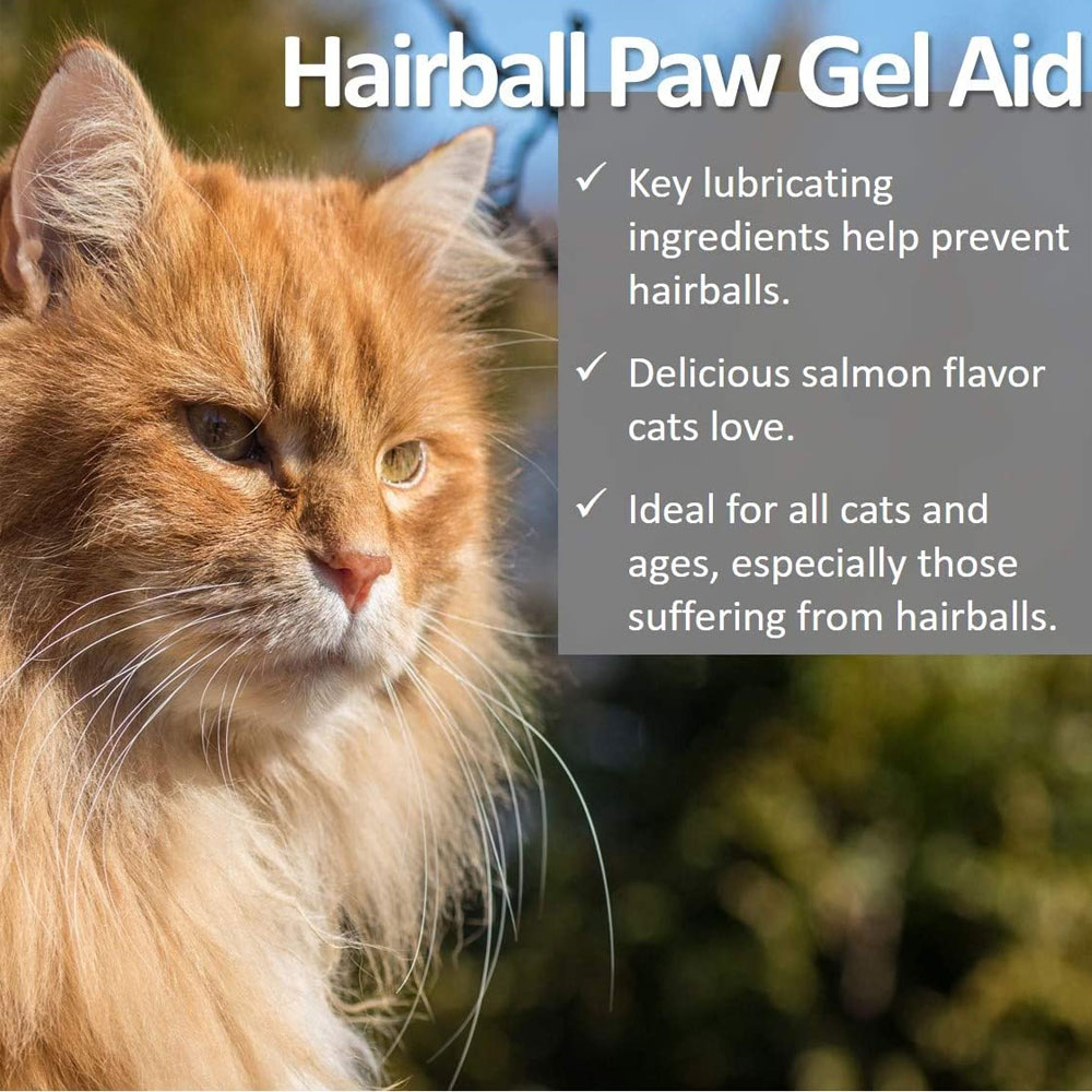 VET-WORTHY-HAIRBALL-PAW-GEL-3OZ