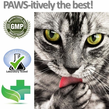 VET-WORTHY-HAIRBALL-PAW-GEL-3OZ