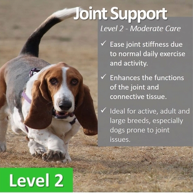 VET-WORTHY-JOINT-SUPPORT-LEVEL-2-CHEW-TABS-90CT