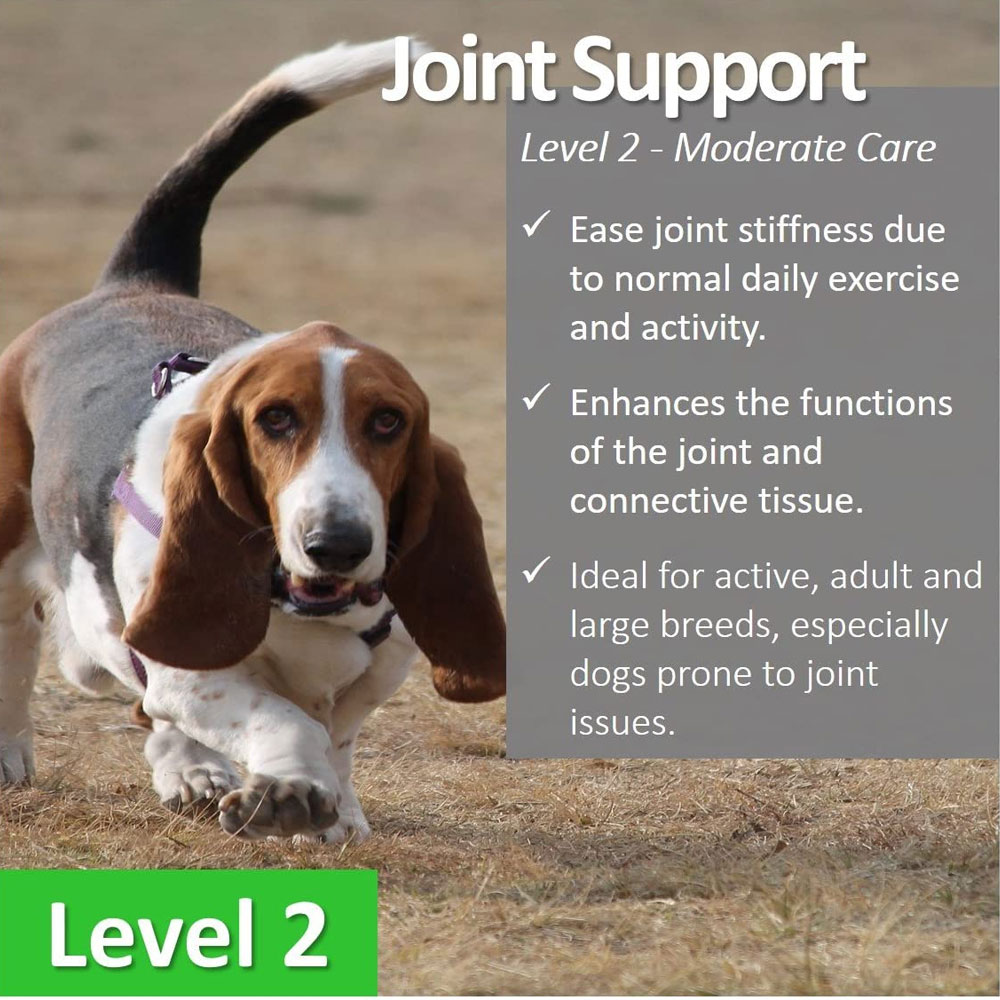 VET-WORTHY-JOINT-SUPPORT-LEVEL-2-CHEW-TABS-90CT