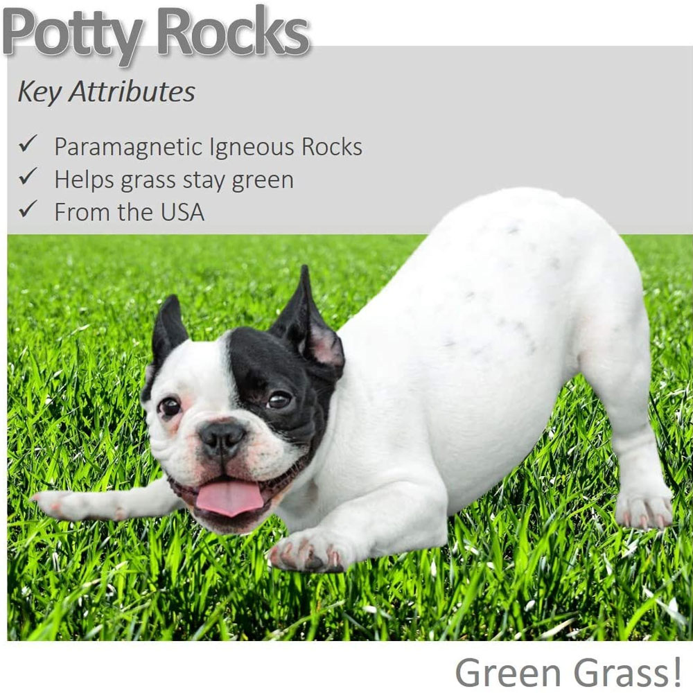 VET-WORTHY-POTTY-ROCKS-FOR-DOGS-200GM