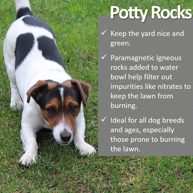 VET-WORTHY-POTTY-ROCKS-FOR-DOGS-200GM