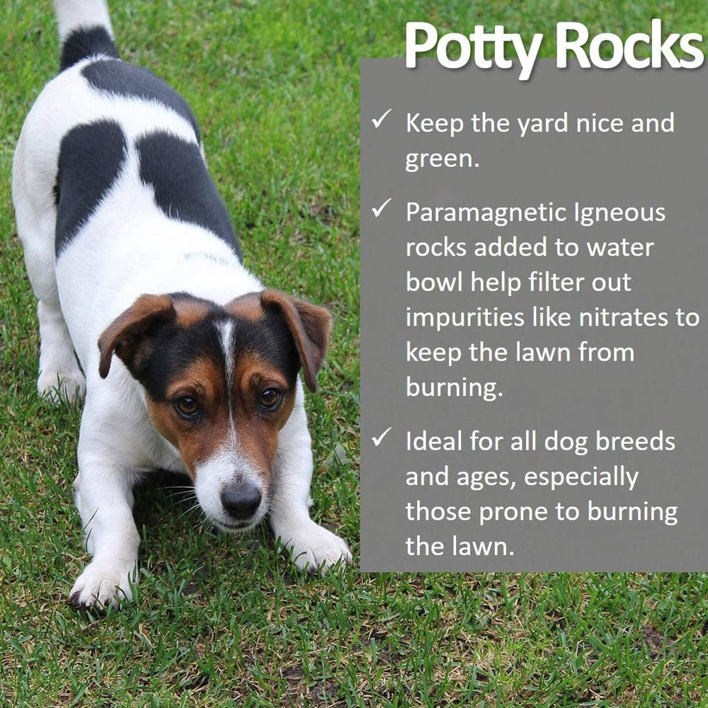 VET-WORTHY-POTTY-ROCKS-FOR-DOGS-200GM