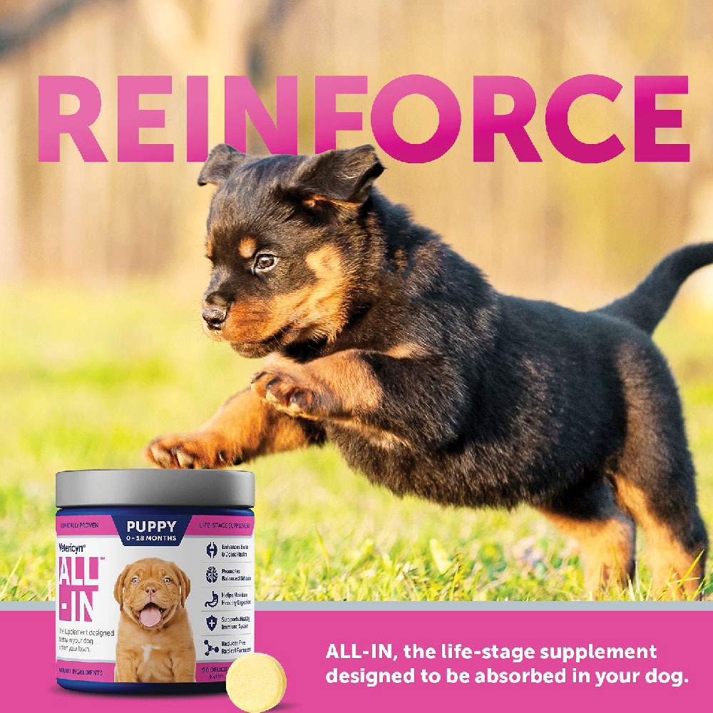VETERICYN-ALL-IN-PUPPY-0-18-MONTHS-LIFE-STAGE-SUPPLEMENTS-90-COUNT