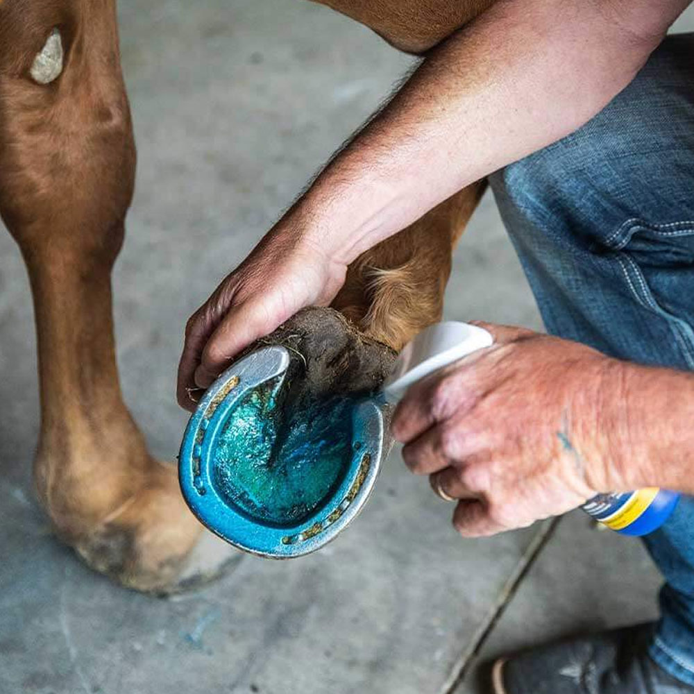 VETERICYN-HOOF-CARE-8OZ