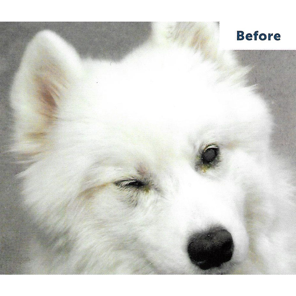 VETERICYNVF-PLUS-ANTIMICROBIAL-OPHTHALMIC-SOLUTION-2OZ