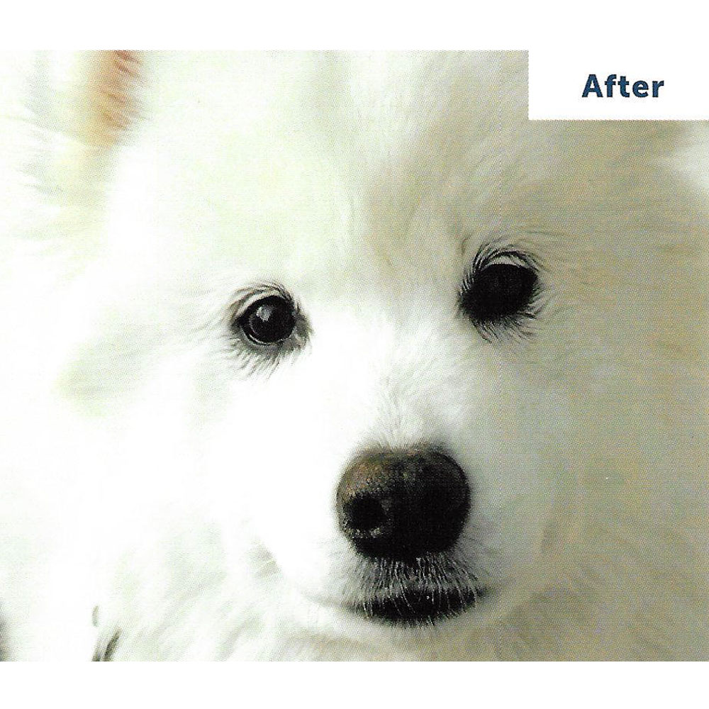 VETERICYNVF-PLUS-ANTIMICROBIAL-OPHTHALMIC-SOLUTION-2OZ