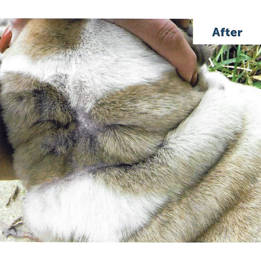 VETERICYNVF-PLUS-ANTIMICROBIAL-WOUND-SKIN-CLEANSER-16OZ