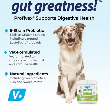 VETNIQUE-LABS-PROFIVEX-PROBIOTIC-5-STRAIN-SOFT-CHEWS-DOG-SUPPLEMENT-60-CHEWS
