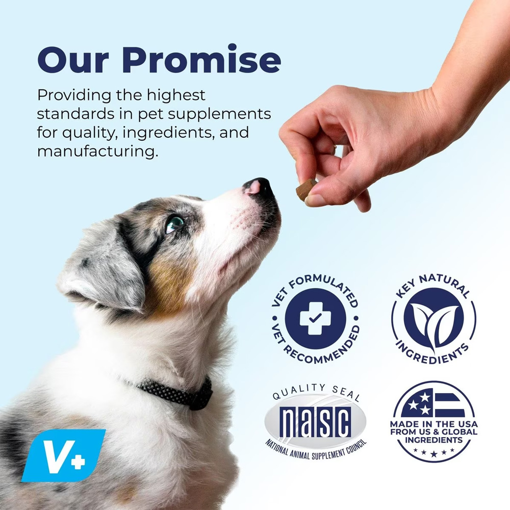 VETNIQUE-LABS-PROFIVEX-PROBIOTIC-5-STRAIN-SOFT-CHEWS-DOG-SUPPLEMENT-60-CHEWS