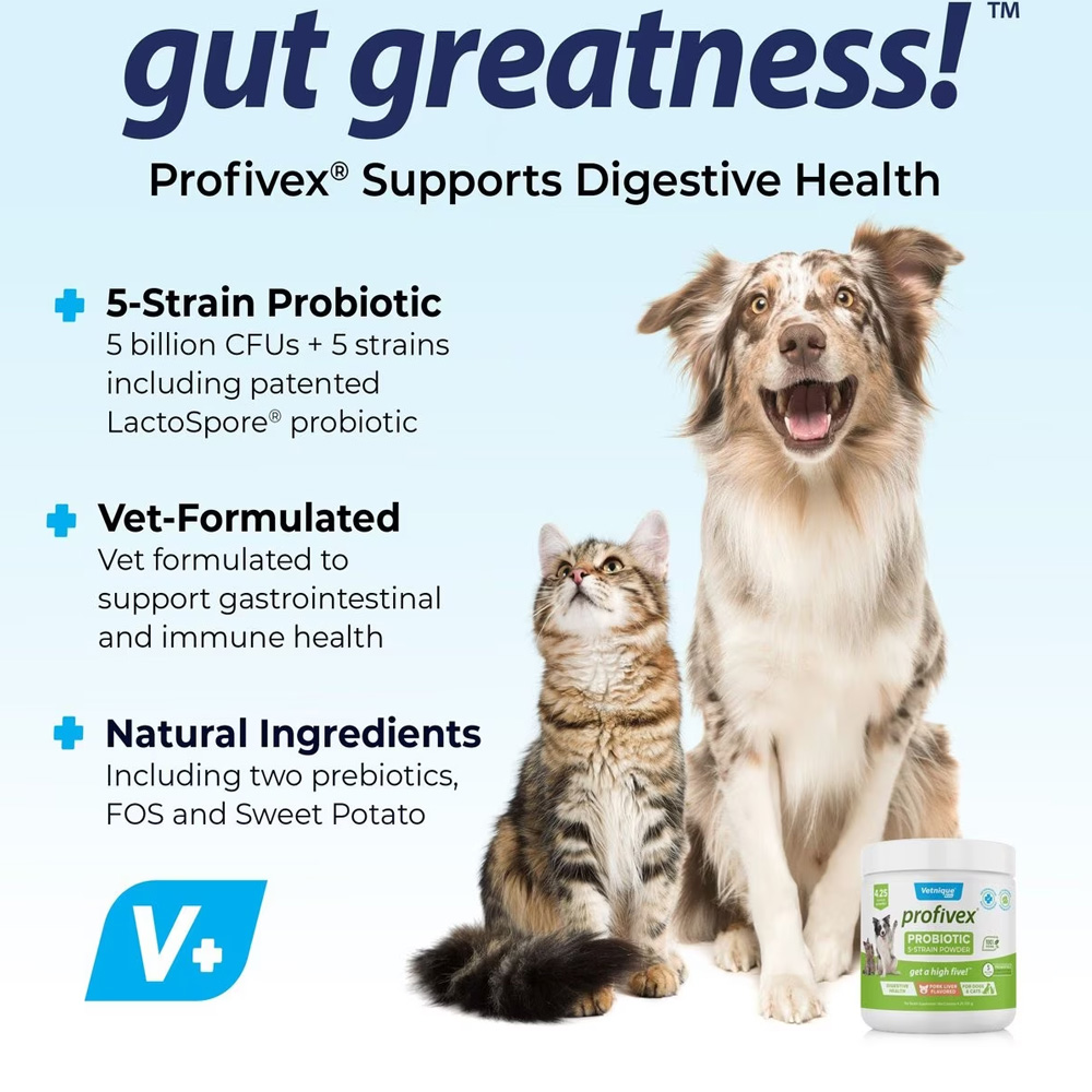 VETNIQUE-LABS-PROFIVEX-PROBIOTICS-5-STRAIN-DOG-CAT-SUPPLEMENT-4OZ