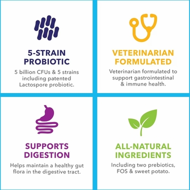 VETNIQUE-LABS-PROFIVEX-PROBIOTICS-5-STRAIN-DOG-CAT-SUPPLEMENT-8OZ