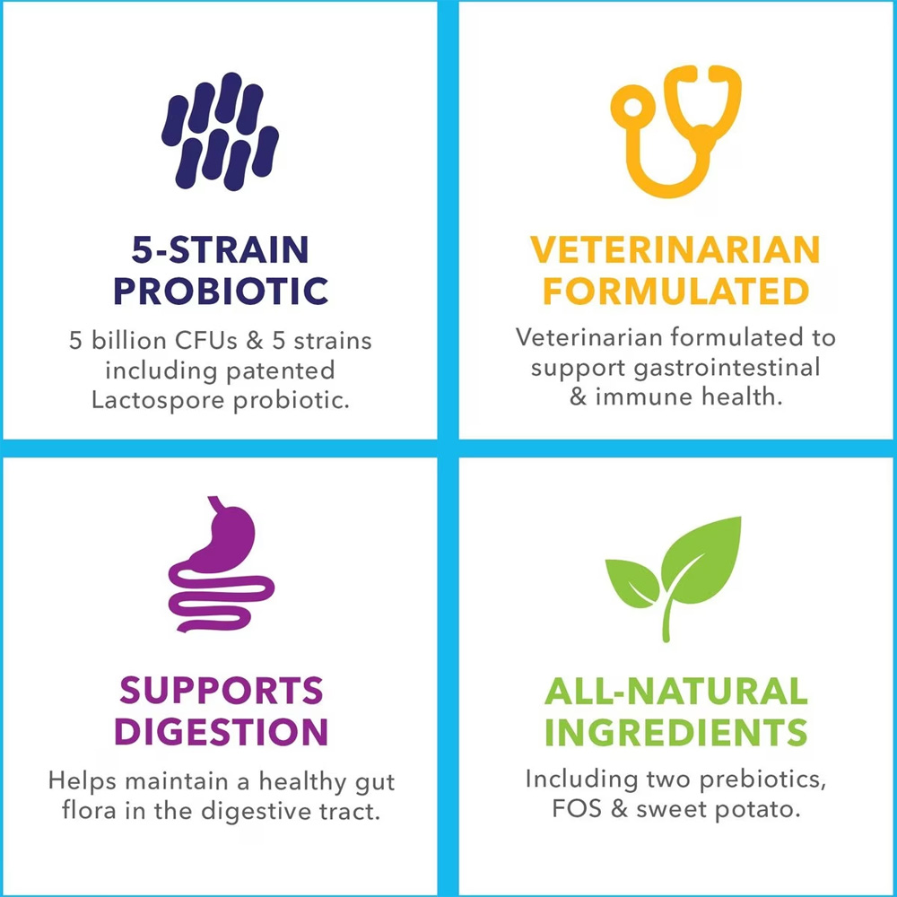 VETNIQUE-LABS-PROFIVEX-PROBIOTICS-5-STRAIN-DOG-CAT-SUPPLEMENT-8OZ