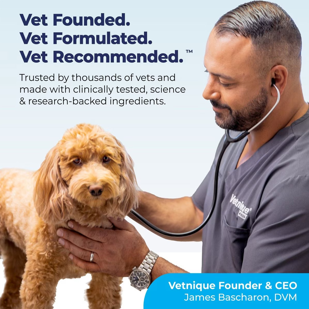 VETNIQUE-LABS-PROFIVEX-PROBIOTICS-5-STRAIN-DOG-CAT-SUPPLEMENT-8OZ