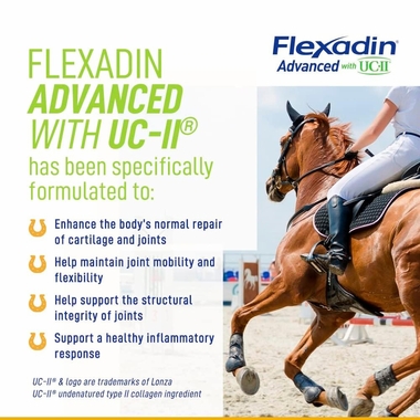VETOQUINOL-EQUISTRO-FLEXADIN-UC-II