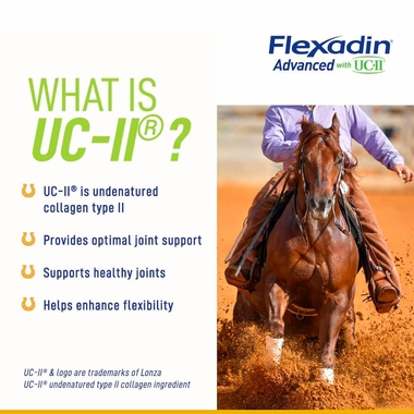 VETOQUINOL-EQUISTRO-FLEXADIN-UC-II