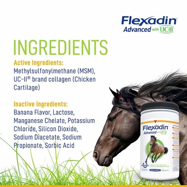 VETOQUINOL-EQUISTRO-FLEXADIN-UC-II