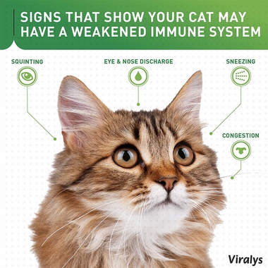 VETOQUINOL-VIRALYS-LYSINE-FOR-CATS-POWDER-100-GRAMS
