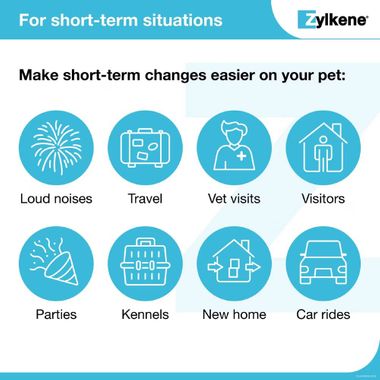 ZYLKENE-75MG-14-CAPSULES