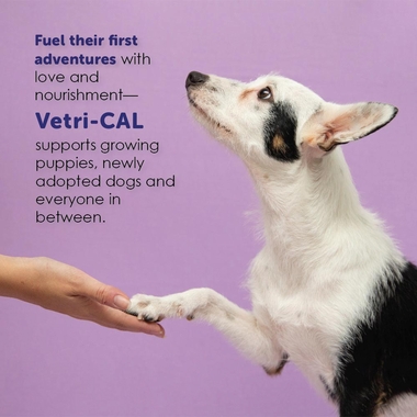 VETRI-CAL-HIGH-CALORIE-NUTRITIONAL-GEL-5OZ