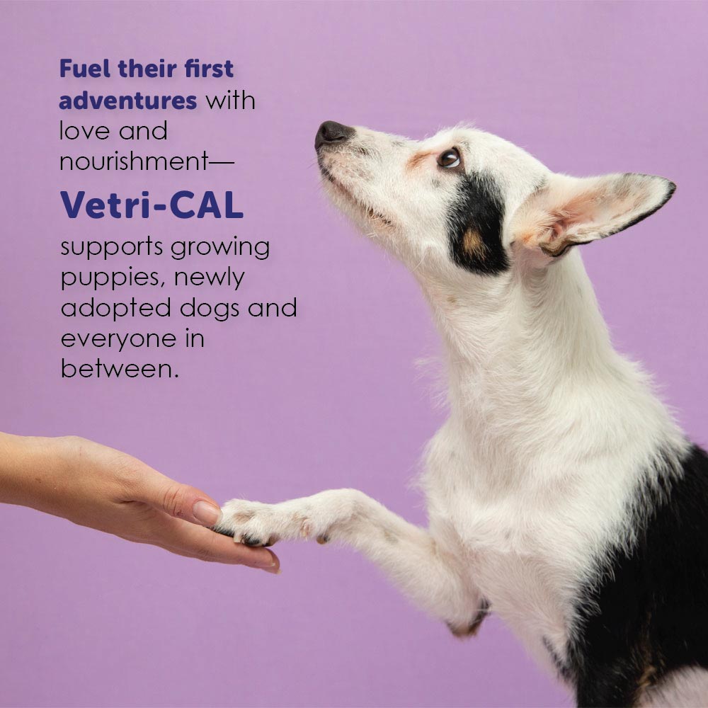 VETRI-CAL-HIGH-CALORIE-NUTRITIONAL-GEL-5OZ
