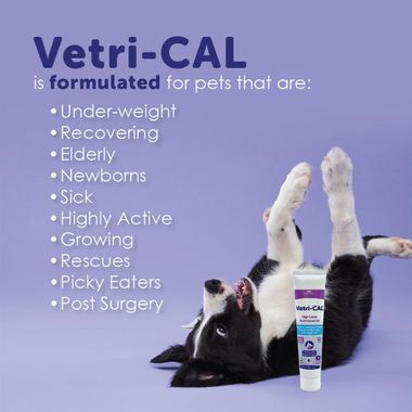 VETRI-CAL-HIGH-CALORIE-NUTRITIONAL-GEL-5OZ