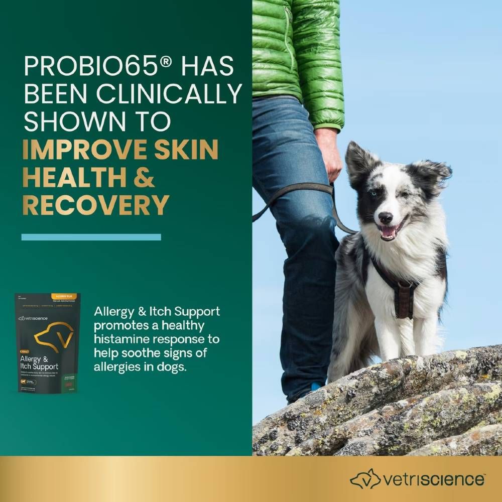 ALLERGY-PLUS-IMMUNE-75-CHEWS