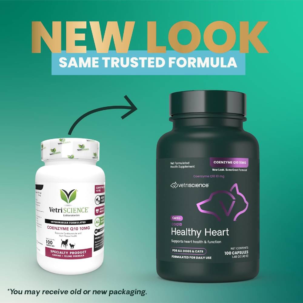 COENZYME-Q10-10MG-100-CAPSULES