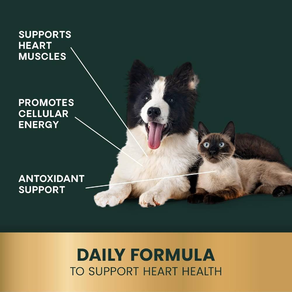 COENZYME-Q10-10MG-100-CAPSULES